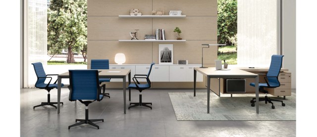 CITY VISITOR & MEETING CHAIR