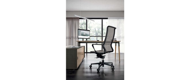 CITY VISITOR & MEETING CHAIR