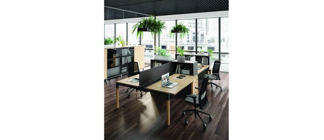 X4 wooden legs Operative desks