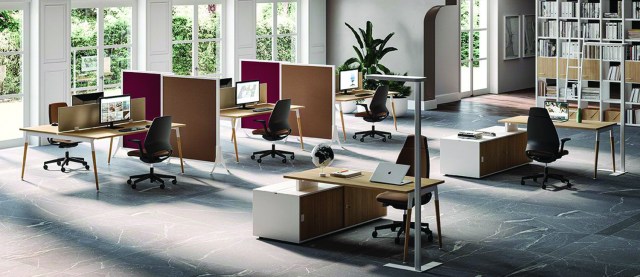 X3 wooden legs Operative desks