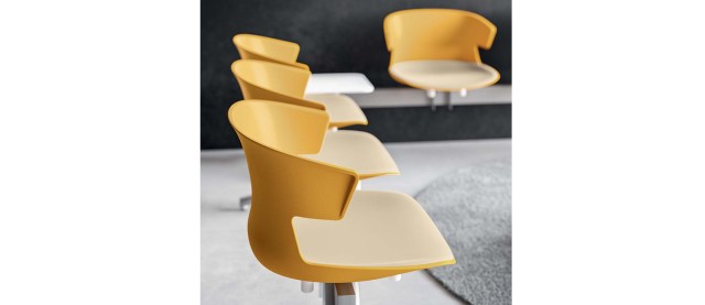 CLEA Visitor & Meeting chair