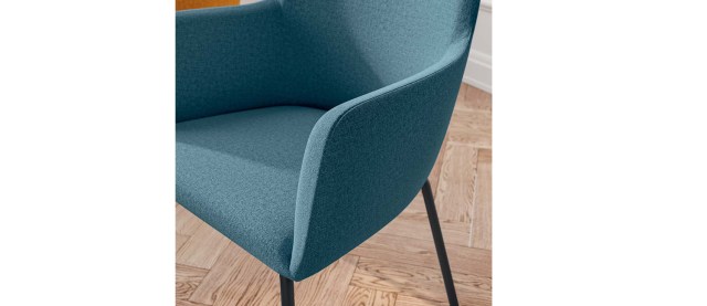 CITY VISITOR & MEETING CHAIR