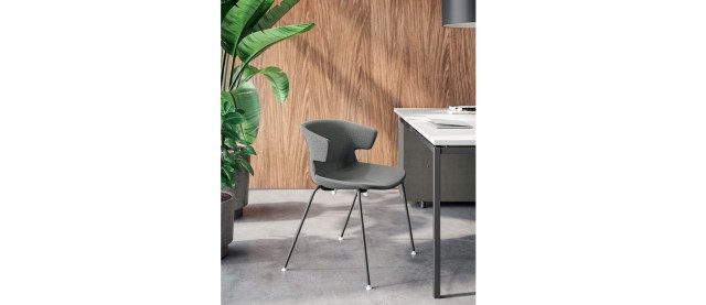 CLEA Visitor & Meeting chair