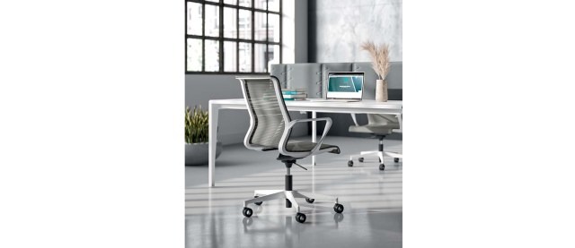 CITY VISITOR & MEETING CHAIR