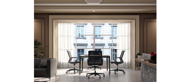 CITY VISITOR & MEETING CHAIR