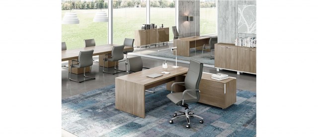 Τ45, Executive office