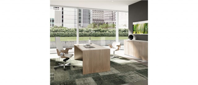 Τ45, Executive office