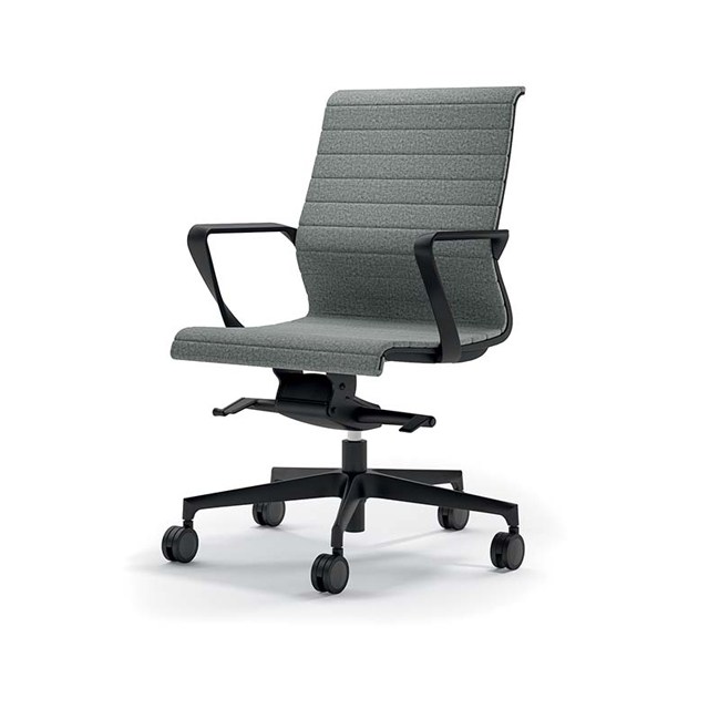 CITY VISITOR & MEETING CHAIR