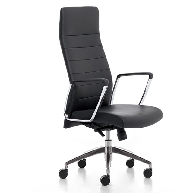 Διευθυντικό Κάθισμα Senator